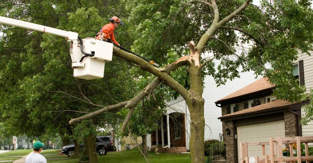 Storm Damage Insurance Claims